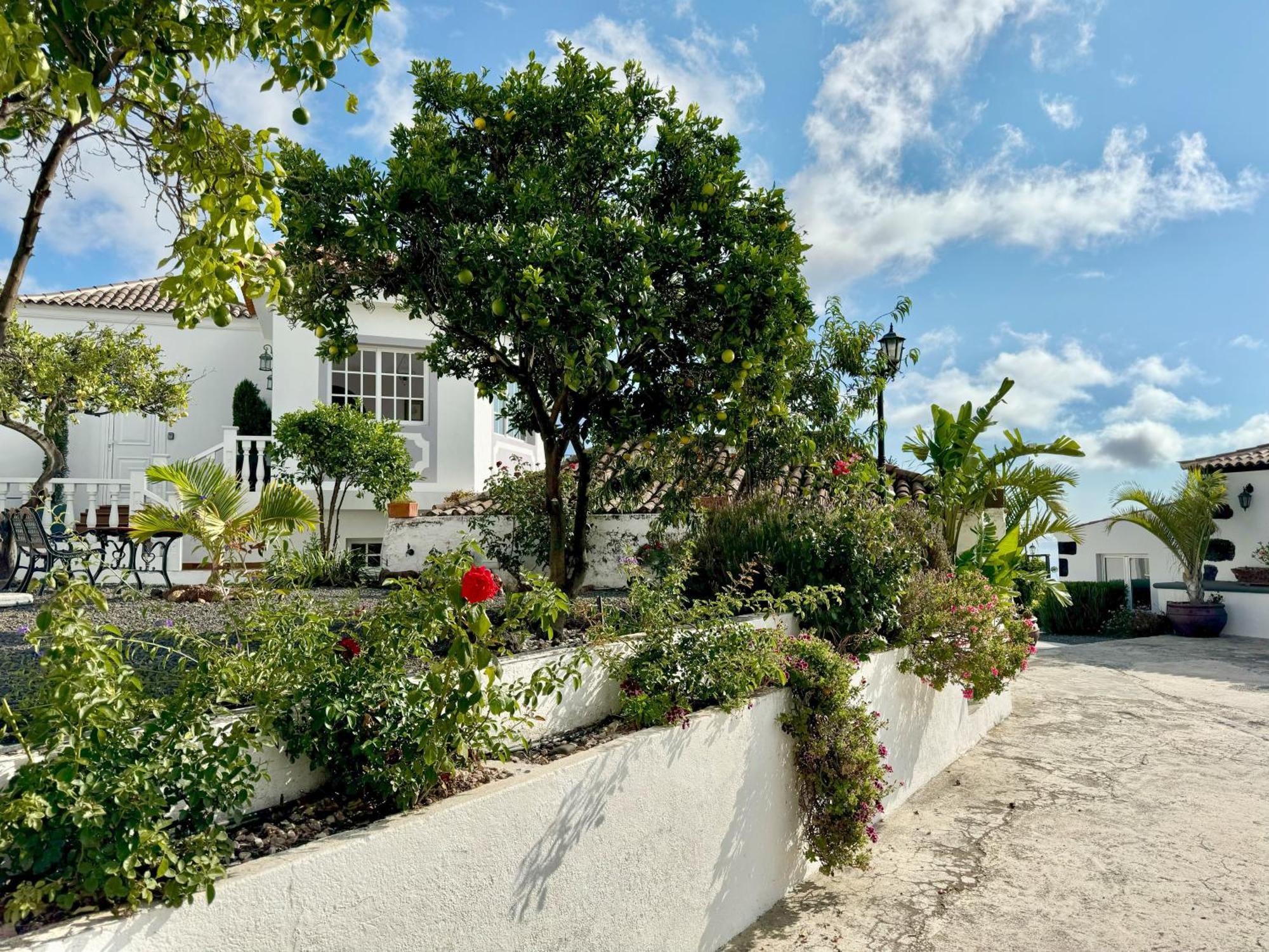 Casa Vista Mar 1 Los Laureles 엘파소 외부 사진